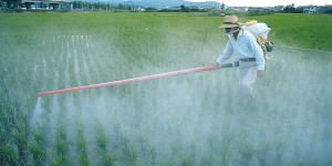 Le Roundup de Monsanto est désormais interdit au Salvador