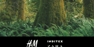 H&M et Zara s'engagent pour la préservation des forêts menacées