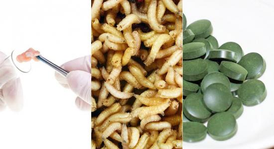 Larves, algues, viande de synthèse : que mangera-t-on dans cinquante ans ?