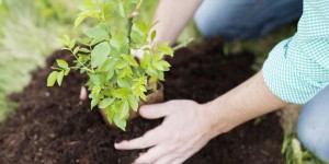 Jardinothérapie : le retour à la terre pour lutter contre la maladie