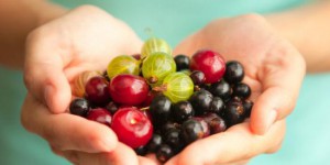 Top 10 des fruits et légumes à déguster en août