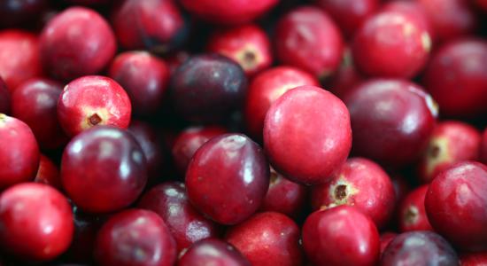 La cranberry : un remède naturel efficace contre les infections urinaires