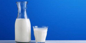 Quelle est la différence entre un lait bio et un lait non bio ?
