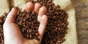Choisir son café : de l’esclavagisme du XVIIe au commerce équitable moderne