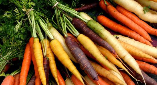 Jaune, blanche, rouge et violette, découvrez les variétés oubliées de la carotte