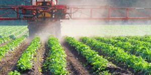 Stéphane Le Foll dévoile son plan pour réduire de moitié l'usage des pesticides en France