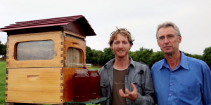 Flow Hive : la ruche révolutionnaire avec robinet pour faire du miel sans nuire aux abeilles 