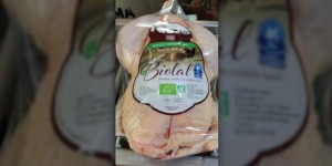 Biolal : le premier poulet bio et halal commercialisé en France