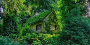 10 maisons magiques au coeur de la Nature dans lesquelles vous adoreriez vivre