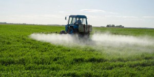5 pesticides officiellement classés cancérogènes par l’OMS