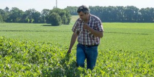 'En cultivant en bio, j'ai redécouvert mon métier', interview d'un agriculteur bio à grande échelle