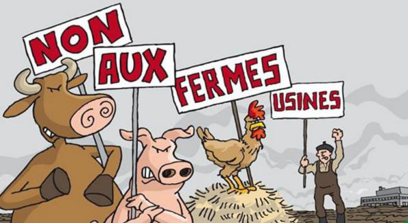 Sondage: 68 % des Français opposés aux fermes-usines