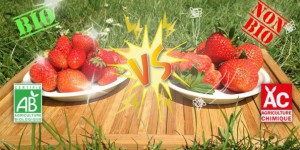 [vidéo] Les fraises bio sont-elles meilleures que les autres ?