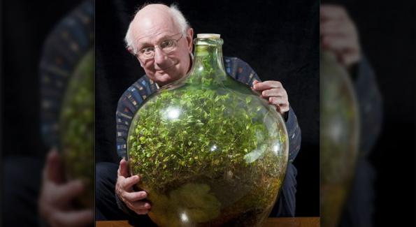 Confinée dans une bouteille depuis 1960, une plante devient auto-suffisante 