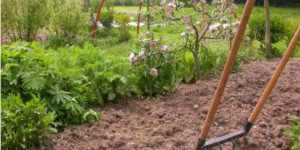 La grelinette : outil miracle et multifonction du jardinier bio