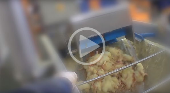 [VIDEO] Des canetons broyés et brûlés pour produire du foie gras