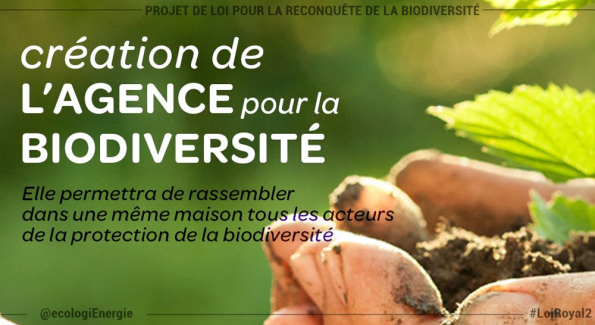 La France vient de créer son Agence de la biodiversité