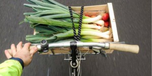 Pâtisson : un panier bio et végétarien livré à vélo dans Paris
