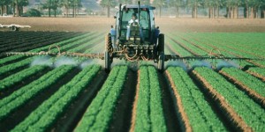 Pesticides: Comment s'en protéger ?