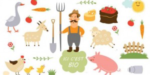Les agriculteurs français se convertissent massivement au bio