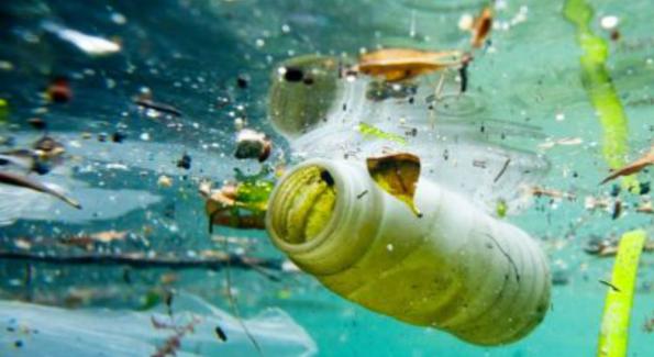 Pollution marine : si vous mangez du poisson, vous ingérez du plastique