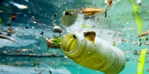 Pollution marine : si vous mangez du poisson, vous ingérez du plastique