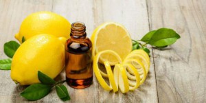 Detox: la cure de citron, une alliée pour cet été