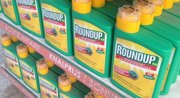 Pesticides: le glyphosate pourrait être encore autorisé pour 18 mois 