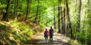 Maladie de Lyme : attention à vos balades en forêt cet été