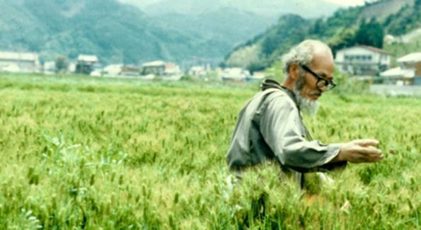 Les quatre principes de l'agriculture sauvage selon Fukuoka