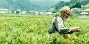 Les quatre principes de l'agriculture sauvage selon Fukuoka