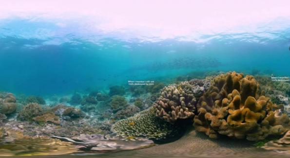 [Vidéo] Découvrez la splendide biodiversité sous-marine d'Indonésie