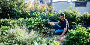 Permaculture urbaine : il cultive et récolte 300 kg de légumes bio dans son potager de 25m²