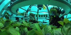 La Ferme de Némo : on y cultive des légumes sous l’eau