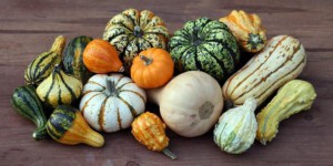 Légumes d'automne : comment cuisiner les cucurbitacées ? 