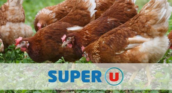 Les supermarchés U décident de ne plus vendre d'oeufs de poules élevées en cage