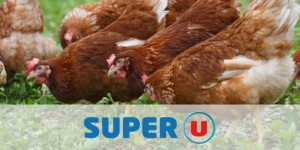 Les supermarchés U décident de ne plus vendre d'oeufs de poules élevées en cage