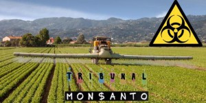 Tribunal de Monsanto: l'accusé prépare sournoisement sa défense