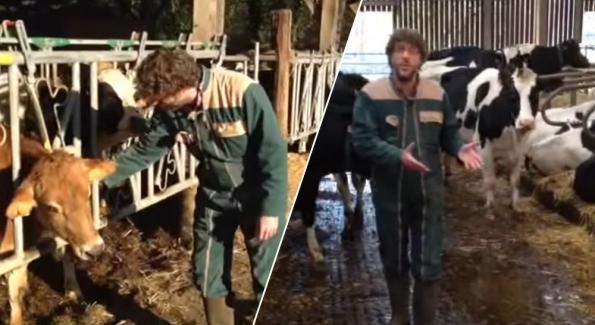 Marre des vidéos à scandale, cet éleveur montre le bien-être de ses animaux