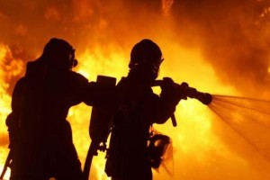 Un incendie tue plus de 20 000 animaux menacés