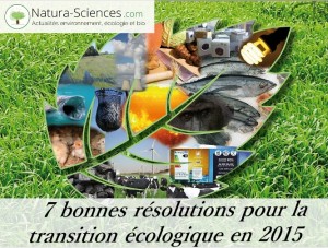 7 bonnes résolutions pour la transition écologique