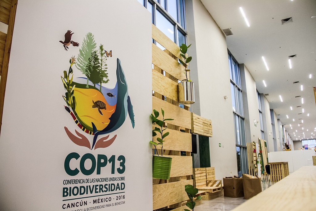 COP 13: peu de nouveautés pour la biodiversité