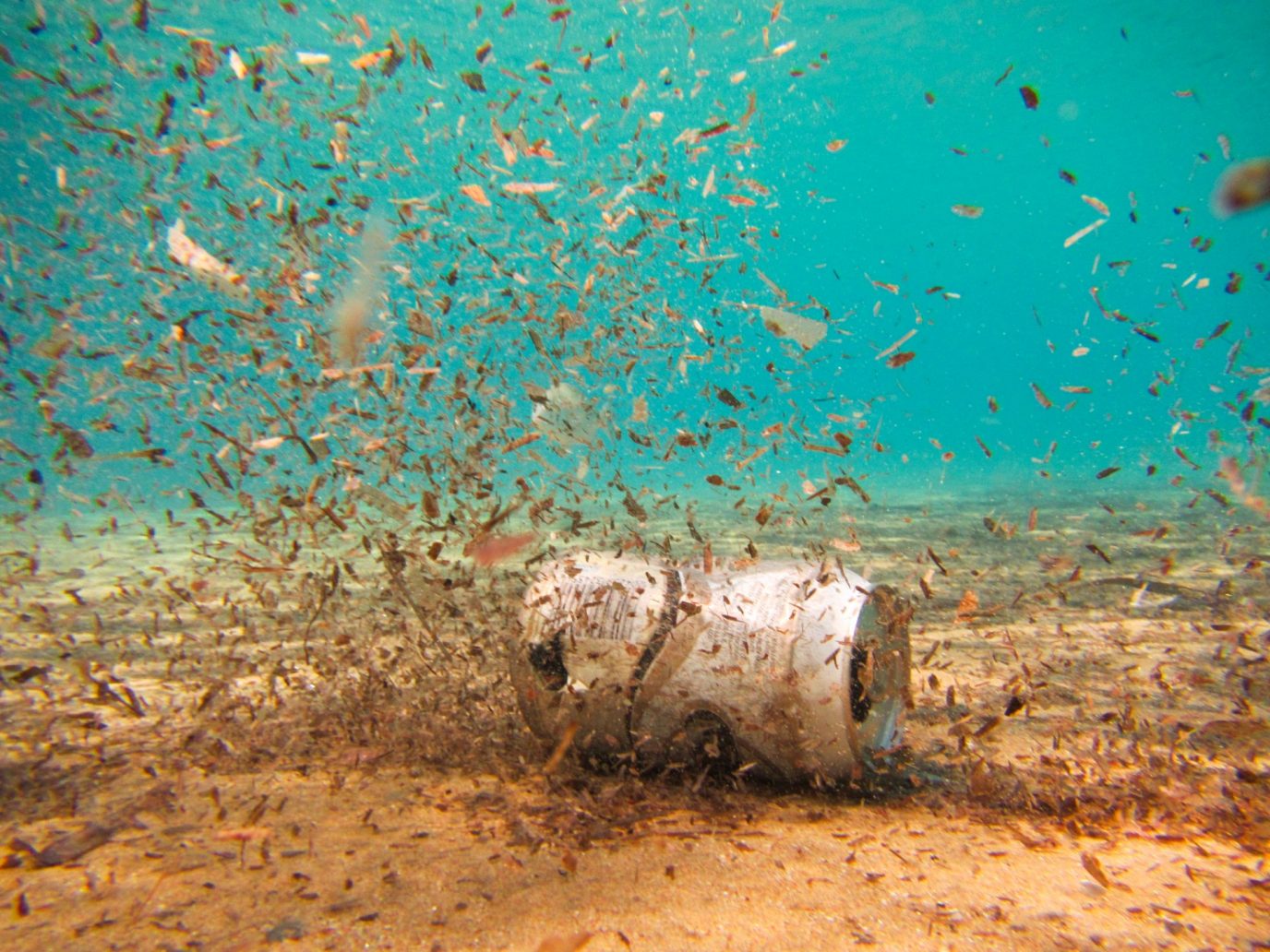 Les courants accumulent les microplastiques dans les fonds marins