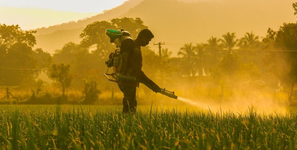 Pesticides: 385 millions d’empoisonnements chaque année dans le monde