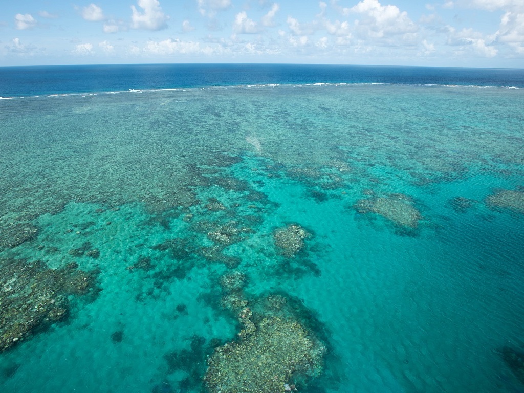 La Grande Barrière de corail est “en danger” pour l’Unesco, mais pas pour l’Australie