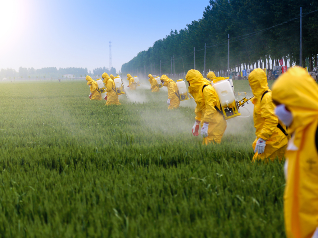 Cancer, Parkinson : l’Inserm établit des liens entre l’exposition aux pesticides et six maladies graves