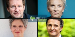 Qui sont les quatre candidats à la primaire des écologistes ?
