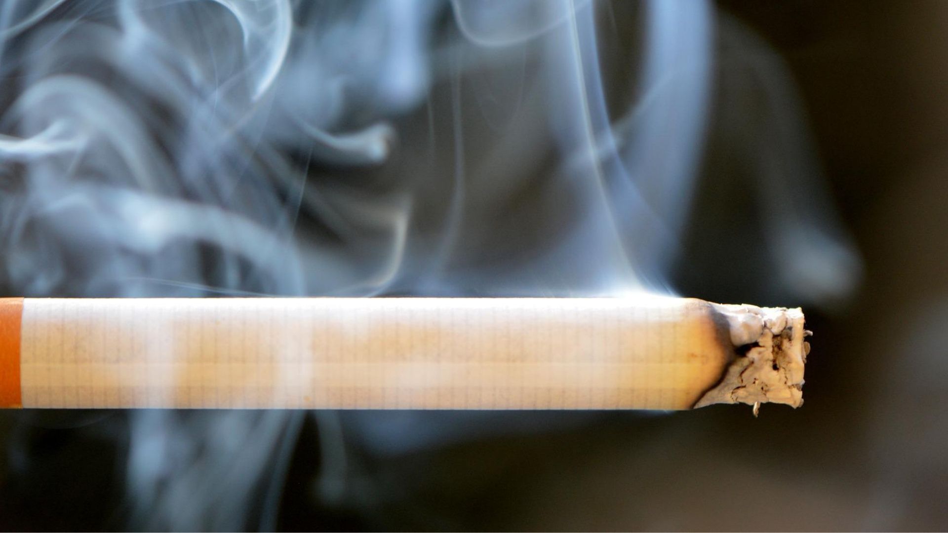 L’OMS alerte sur les effets néfastes du tabac sur la planète