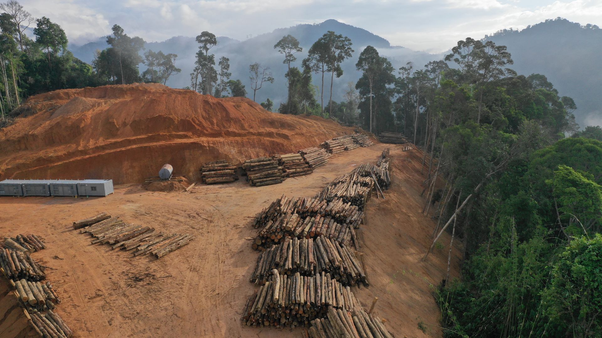  Déforestation : le WWF appelle l’Europe à protéger toutes les terres boisées (Entretien)