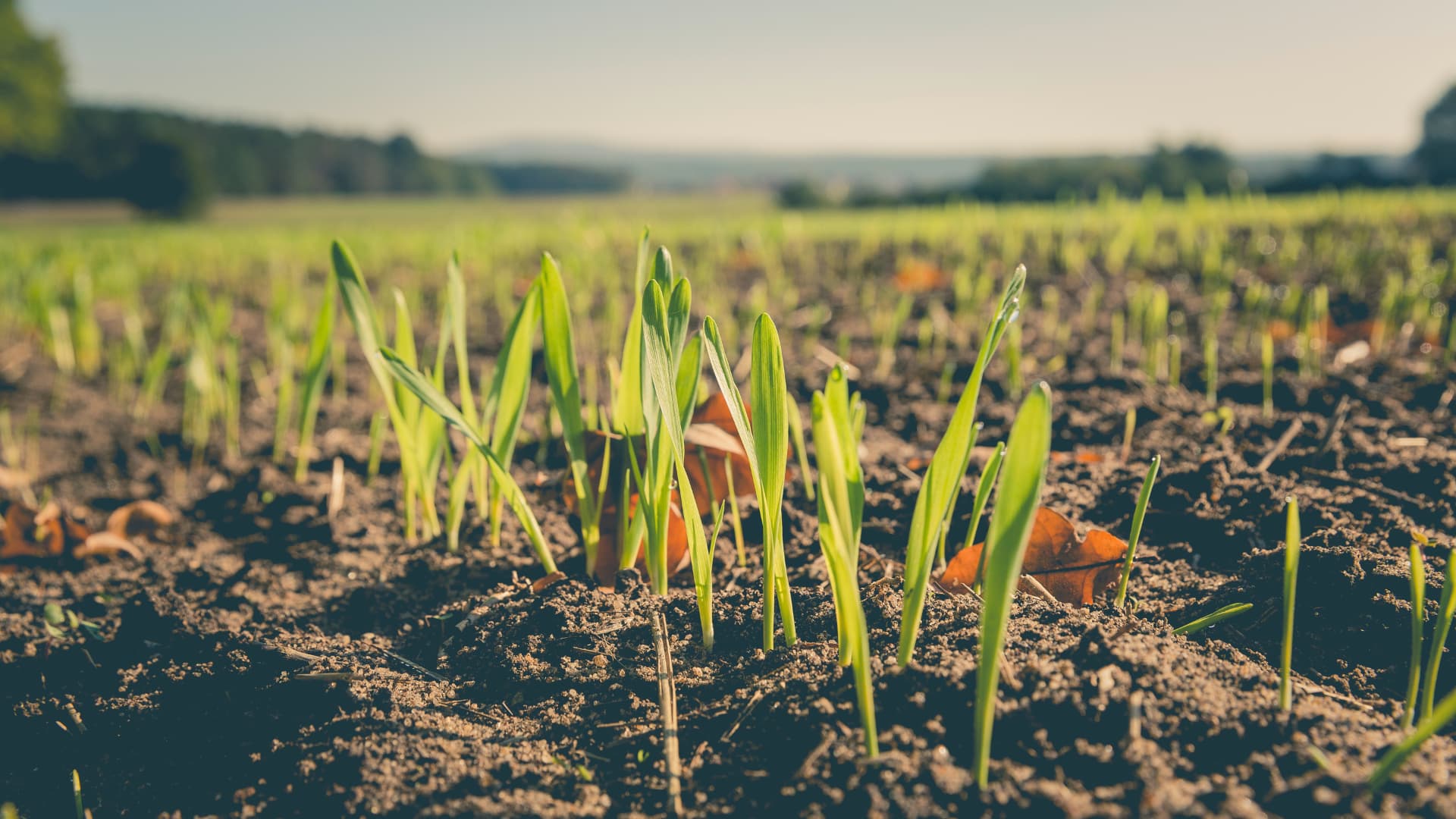Où s’installer en agriculture bio en 2023 ?